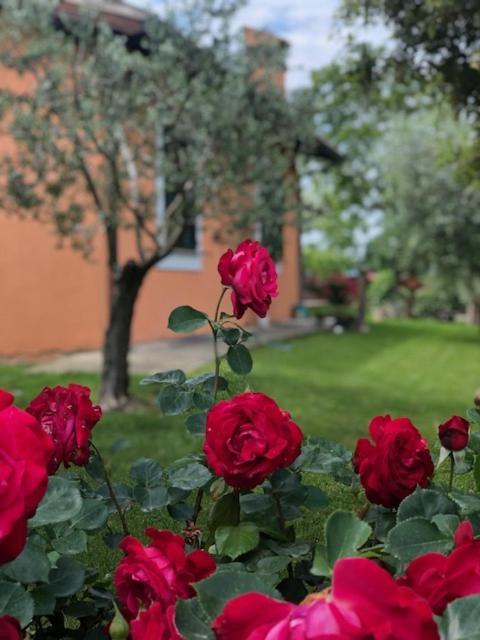 スペッロIl Giardino Delle Roseアパートメント エクステリア 写真