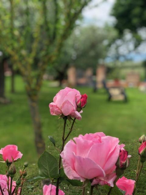 スペッロIl Giardino Delle Roseアパートメント エクステリア 写真